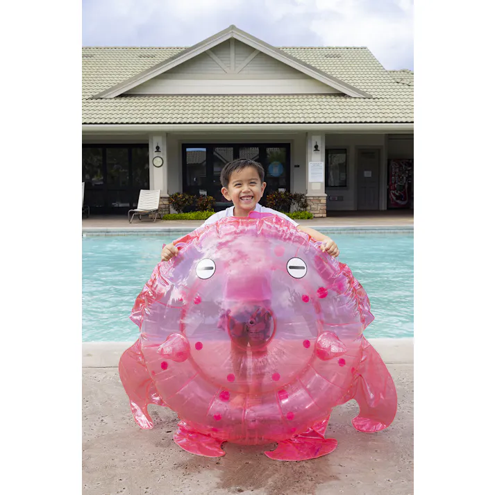 【リアルな海の人気者フロート メンダコ フロート】 ビーチ 海 プール グッズ 水遊び 幼児 子供 男子 大人 女子 #4970134450414 イガラシ