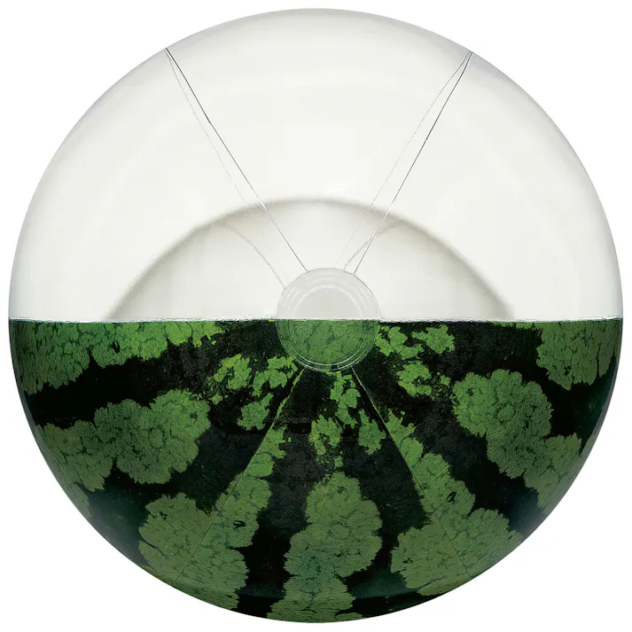 【大型ビーチボール リアルハーフスイカボール】 キャラクター ビーチ 海 プール グッズ 水遊び 幼児 子供 男子 女子 #4970134460512 イガラシ