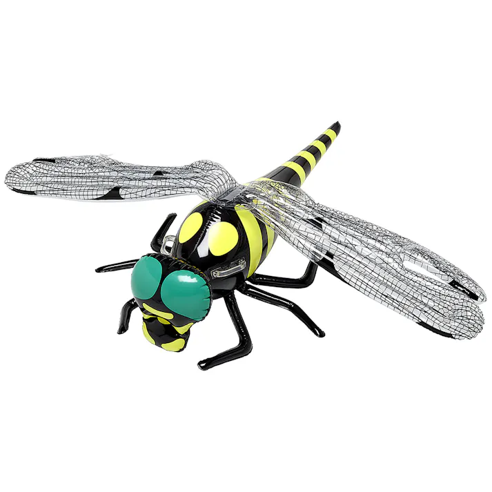 【水族館の人気者!フロート オニヤンマ フロート】 トンボ ビーチ 海 プール グッズ 水遊び 幼児 子供 男子 大人 女子 #4970134550367 イガラシ