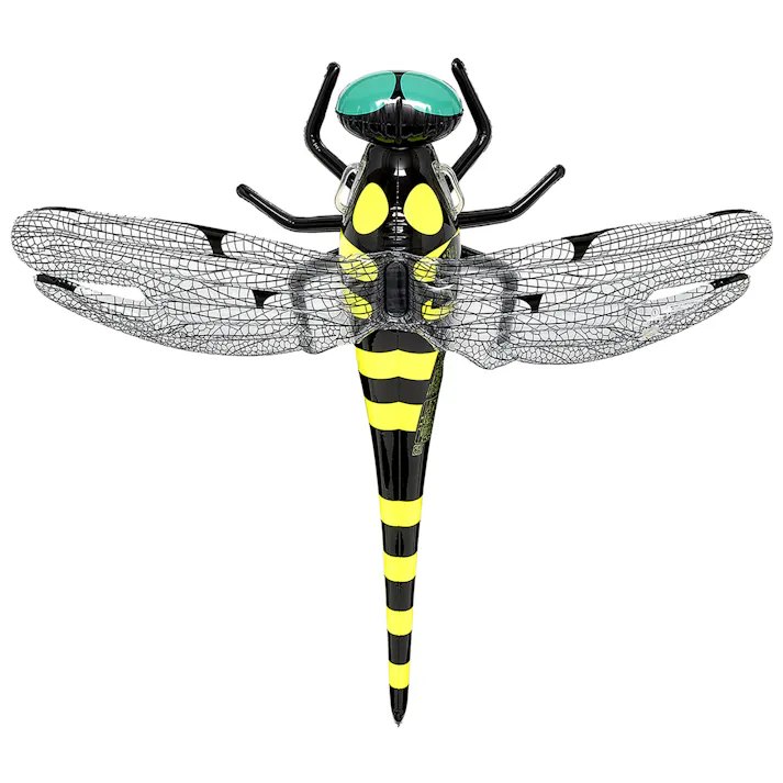 【水族館の人気者!フロート オニヤンマ フロート】 トンボ ビーチ 海 プール グッズ 水遊び 幼児 子供 男子 大人 女子 #4970134550367 イガラシ