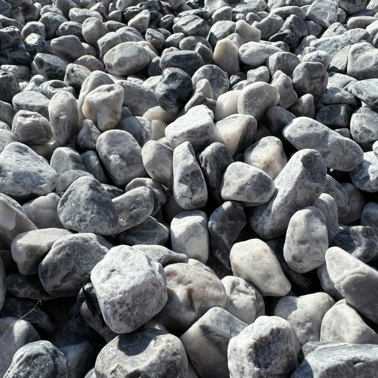 贝壳银 极光碎雪 ダイカット加工 6cm×5m 100cm/loop 贝壳银 极光碎雪 ダイカット加工 6cm×5m 100cm/loop