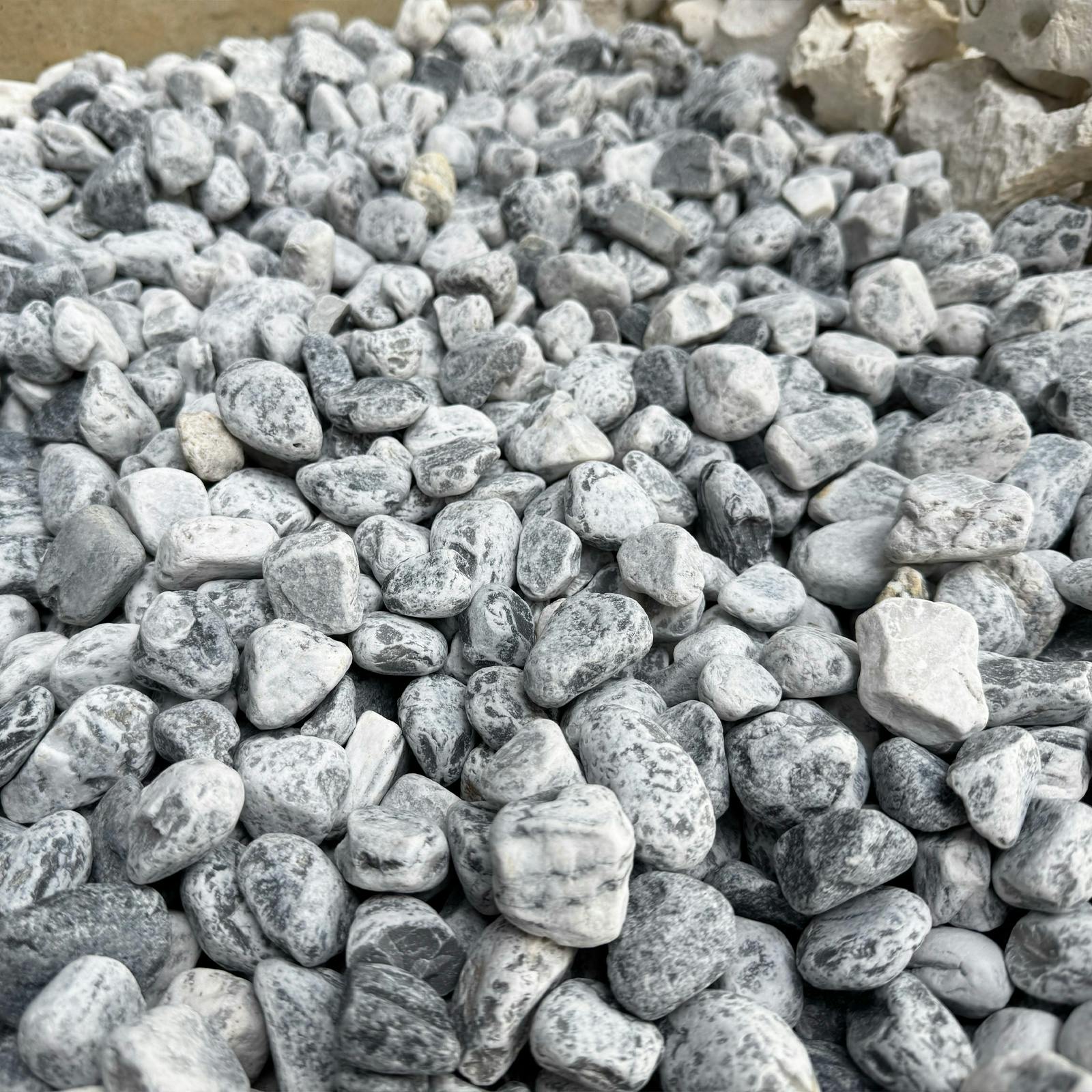 砂糖 5000000000222_01.jpg