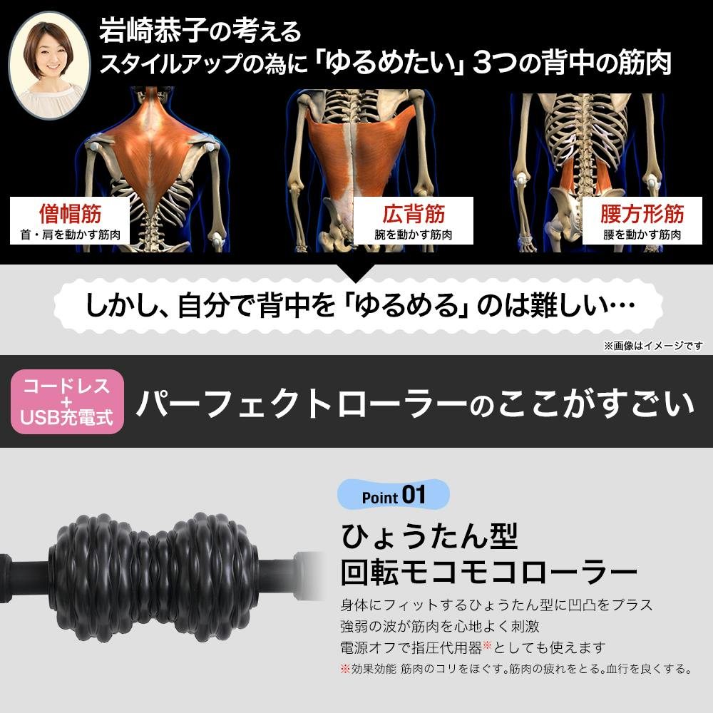 2025パーフェクトローラー講座全科目セット 学習経験者向け パーフェクトローラー講座 - 司法書士試験対策