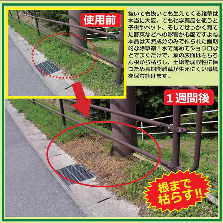 【天然素材成分 植物性除草剤 300ml 3個セット】 ちあふる <10倍希釈して使用>除草剤 植物抽出液 ニガリ にがり ペットや子供にも安心 お墓 畑の脇 家庭の空き地 グランド 河川敷 非農耕地用 カタバミ ハコベ ブタクサ ツユクサなど JAN:4560162561789