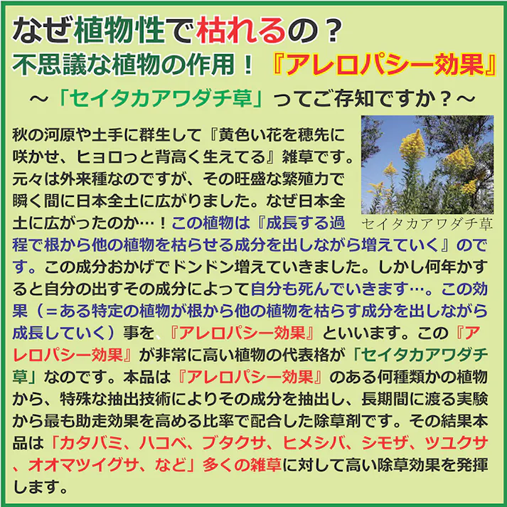 【天然素材成分 植物性除草剤 300ml 3個セット】 ちあふる <10倍希釈して使用>除草剤 植物抽出液 ニガリ にがり ペットや子供にも安心 お墓 畑の脇 家庭の空き地 グランド 河川敷 非農耕地用 カタバミ ハコベ ブタクサ ツユクサなど JAN:4560162561789