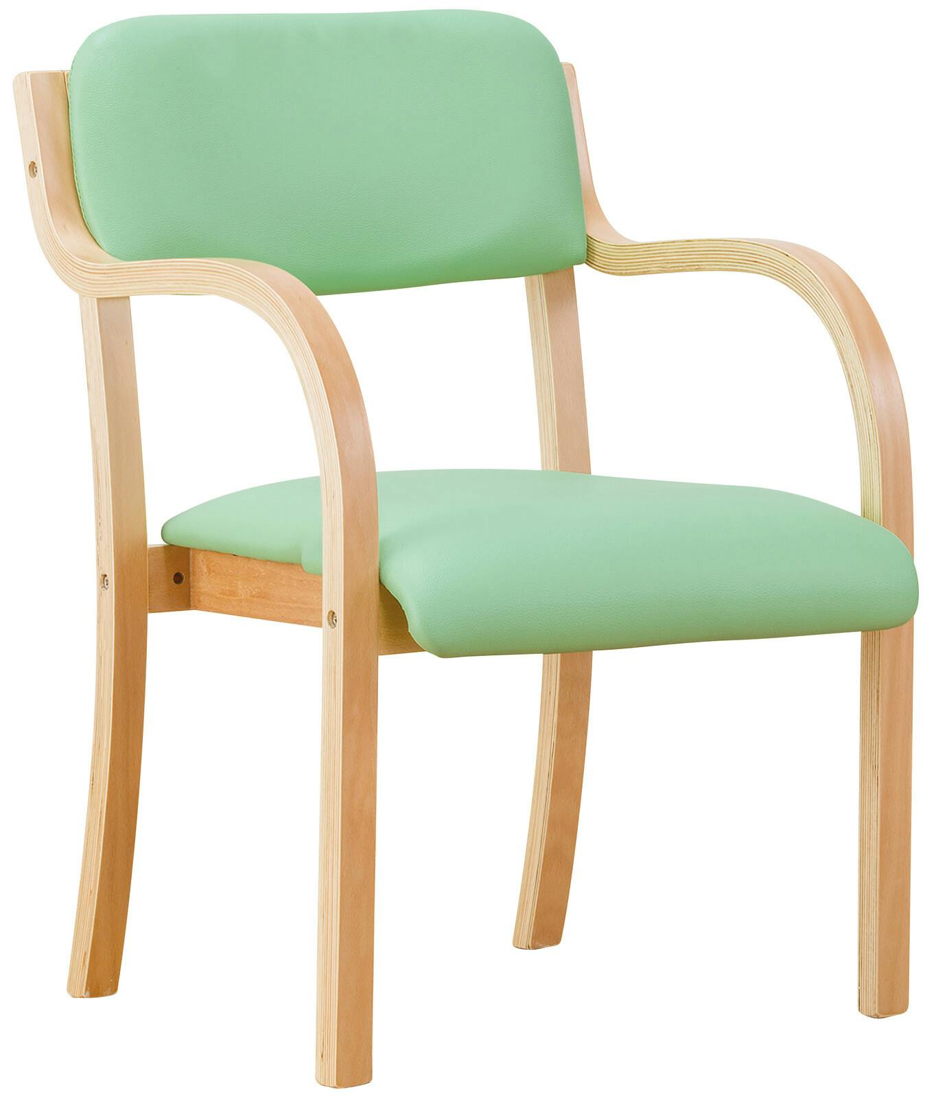 立ち座りサポートチェア 2脚（同色） 【グリーン】 肘掛け付き椅子