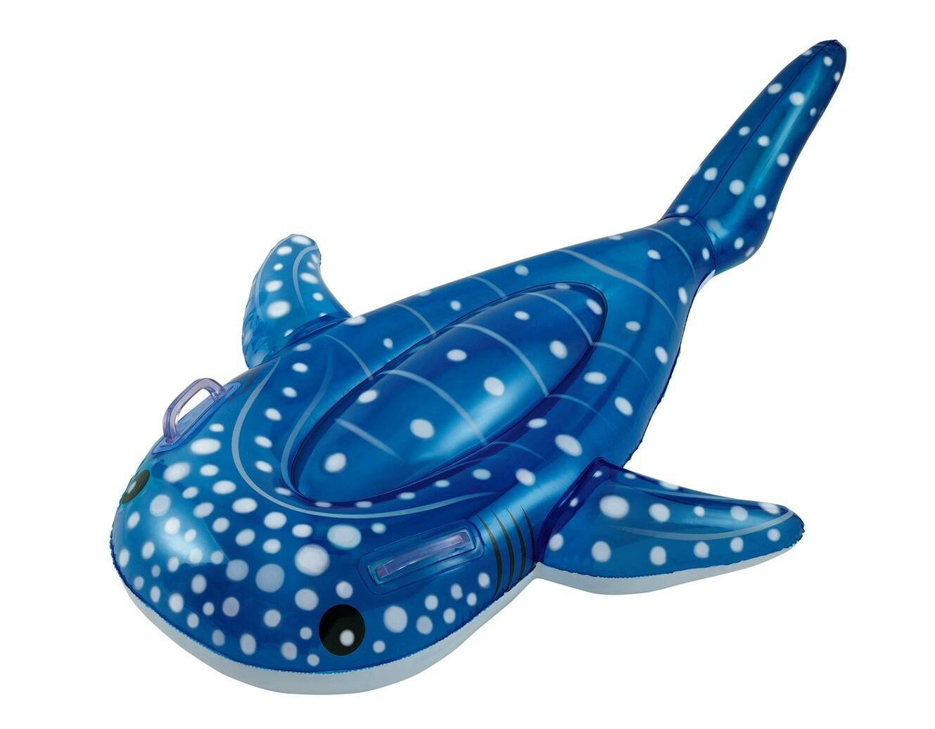 さかな 海水魚・ニセスズメ】エロンガータドッティーバック【1匹