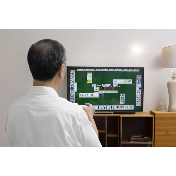 脳を鍛える大人の娯楽ゲーム 麻雀 将棋 脳トレゲームを含む4種のゲームを内蔵 懐かしの4タイトルが楽しめます!イーハトーヴォ物語、サラブレッドブリーダー3、麻雀俱楽部、新・将棋倶楽部 コントローラーは無線接続でラクラク #4573468826018 flife