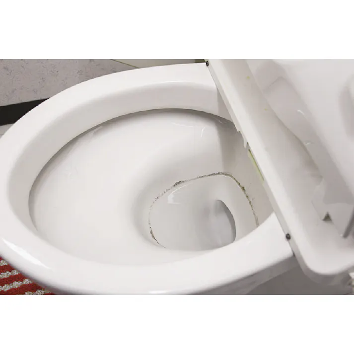 ファイブクリーン 1袋 驚異の酸素パワーで家中の汚れ #4580324740814 flife