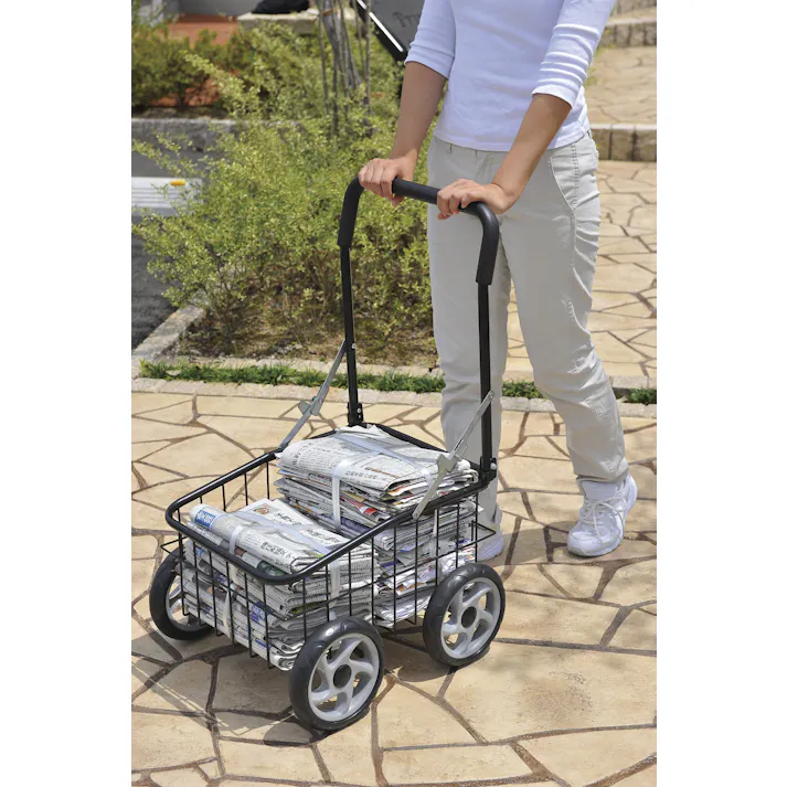 カゴ付きラクラクカート #4589792859059 flife