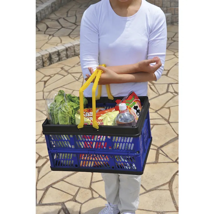 カゴ付きラクラクカート #4589792859059 flife