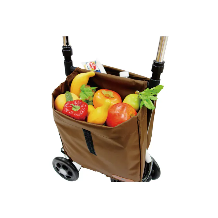 横押しサイドカーサポキャリー 片手ハンドル 安定 スイスイ進む 背面バッグ 楽々お買物 男女兼用右手タイプ アルミ製 軽量約2.6kg #4968501926402 flife