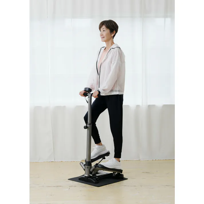 アルインコ ハンドル付きステッパー #4969182524093 flife