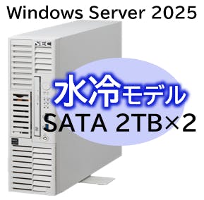 Express5800/D/T110m-S 水冷モデル Xeon 6315P 4C/16GB/SATA 2TB*2 RAID1/W パソコン・周辺機器 Express5800/D/T110m-S 水冷モデル Xeon 6315P 4C/16GB/SATA 2TB*2 RAID1/W パソコン・周辺機器