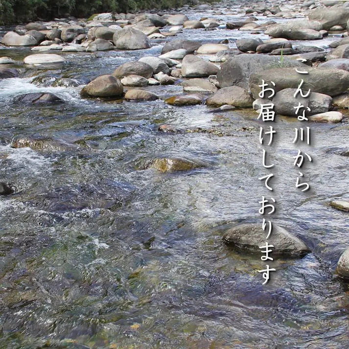 玉砂利 【川玉砂利】 小粒 【5~10mm 20kg】 砂利 防犯砂利 砂利 庭 砂利敷き 庭石 化粧砂利 雑草対策 砂利石 玉石 庭砂利 化粧石 駐車場 防草砂利