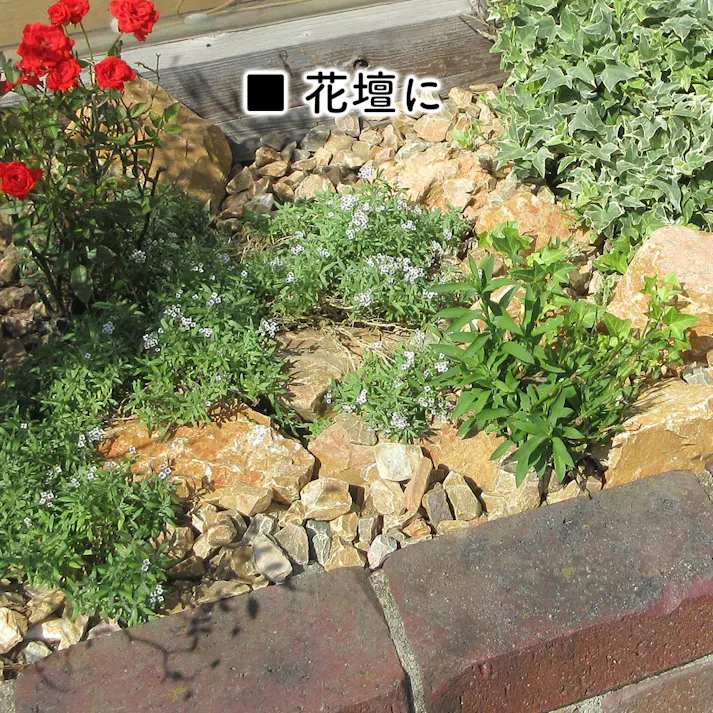 【砂利】 黄色 【イエロー SS 22kg】 庭 砕石 防草シートの上に 砂利敷き 庭石 化粧砂利 雑草対策 砂利石 じゃり 庭砂利 化粧石 駐車場 防草砂利 diy ロックガーデン