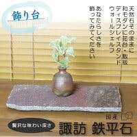 ガーデン 自然石 日本の銘石【諏訪鉄平石】から厳選 【2～3枚