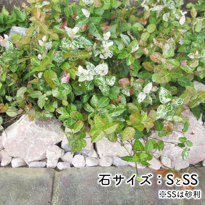 庭石 【ロックガーデン】 石 割栗石 【カナリアピンク L 330kg (22kgx15箱)】 ガーデニング 石 ガーデンロック 石 クラッシュロック ドライガーデン 石 栗石 みかも石