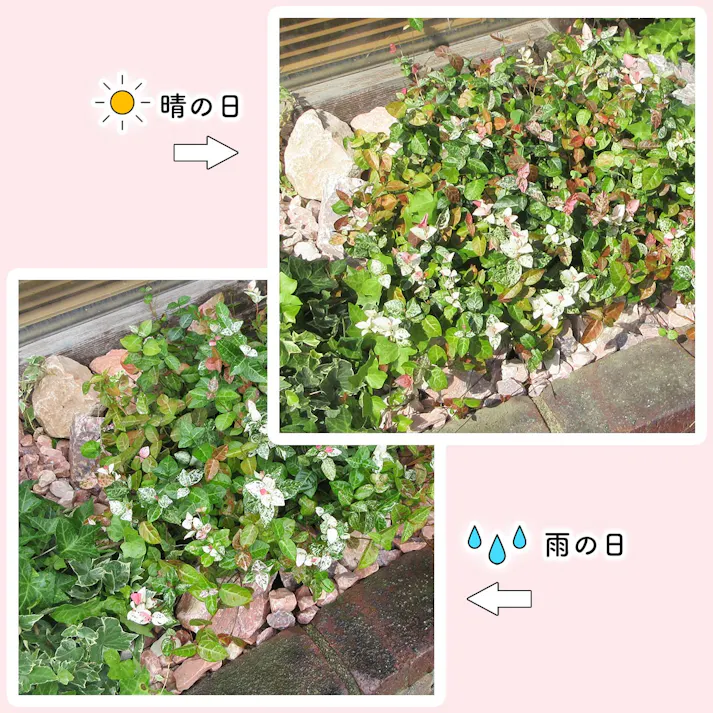 【砂利】 【ピンク SS 220kg(22kgx10袋)】 庭 砕石 防草シートの上に 砂利敷き 庭石 化粧砂利 雑草対策 砂利石 じゃり 庭砂利 化粧石 駐車場 防草砂利 diy