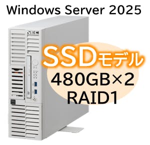 チェンです Express5800/D/T110m-S(RAID1対応コントローラ搭載) Xeon 6315P