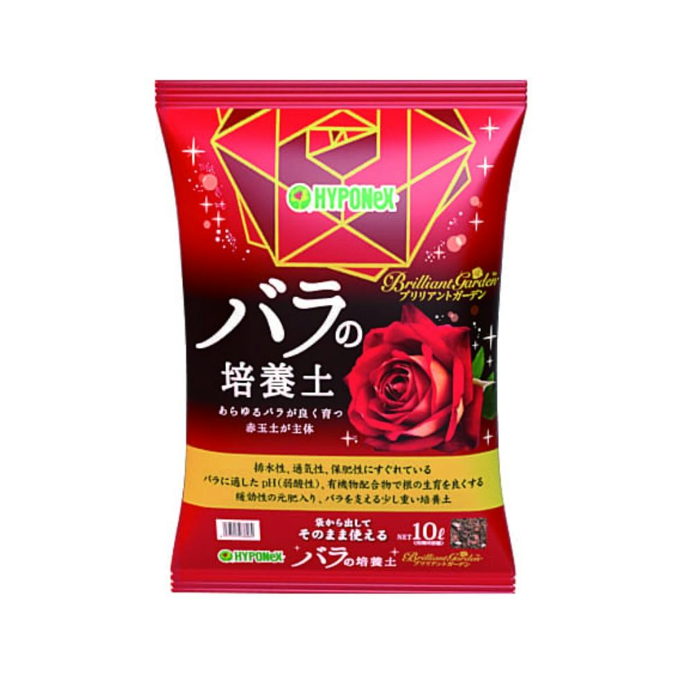 uAgK[f o̔|{y × 4_ hrm-4977517038269 쏜