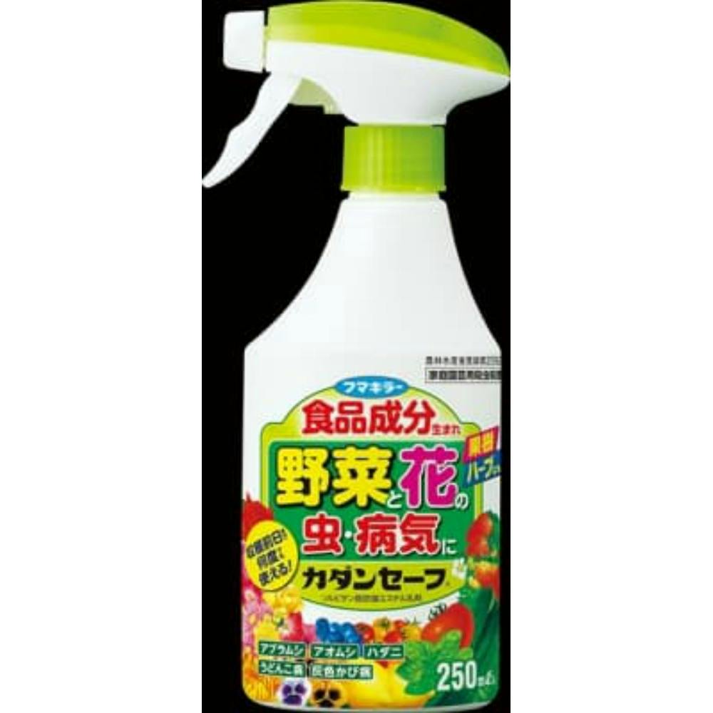 J_Z[t 250ml hrm-4902424433951 쏜
