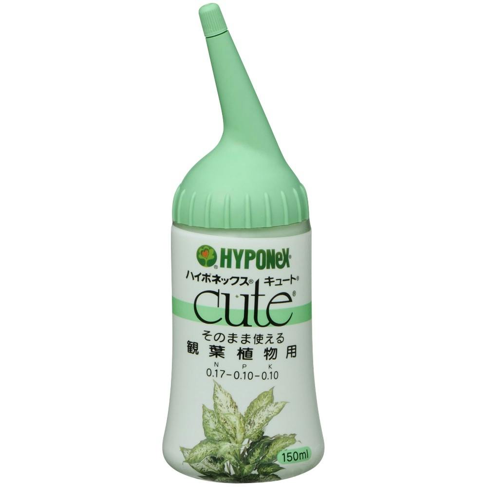 キュート 観葉植物用 150ml 【送料込み】 ＃hrm-4977517164135