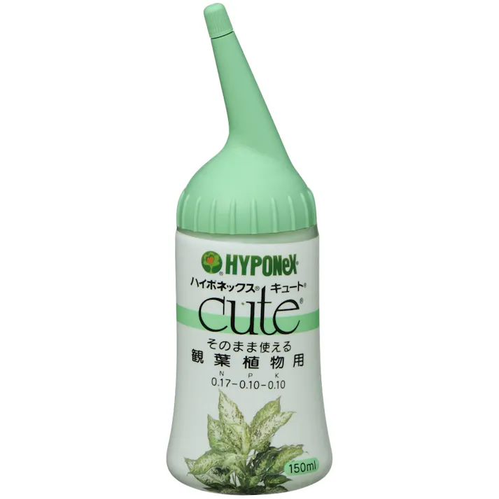 キュート 観葉植物用 150ml 【送料込み】 #hrm-4977517164135