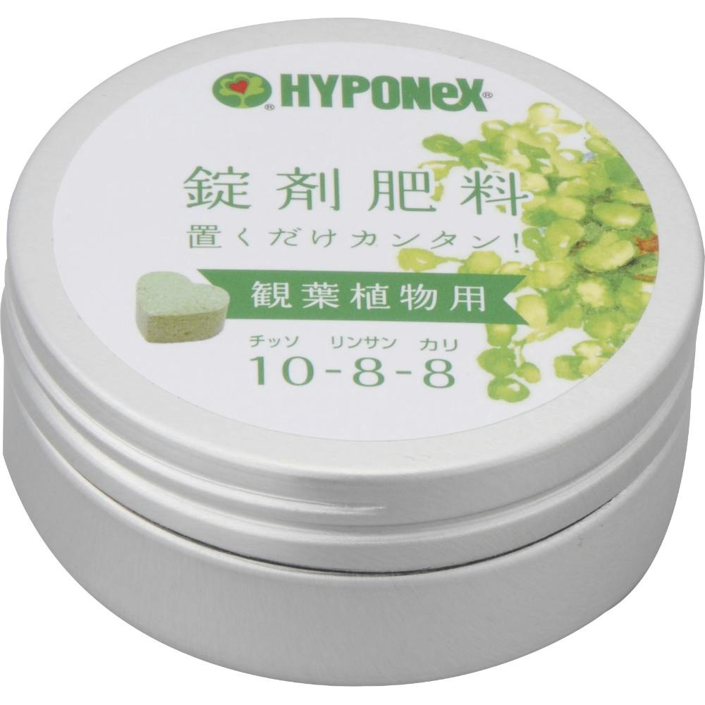 錠剤肥料 観葉植物用 【送料込み】 ＃hrm-4977517148029