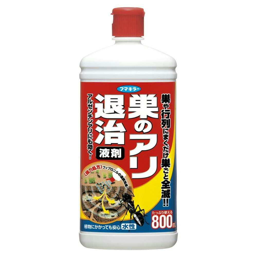 ̃Aގ t hrm-4902424424317 쏜