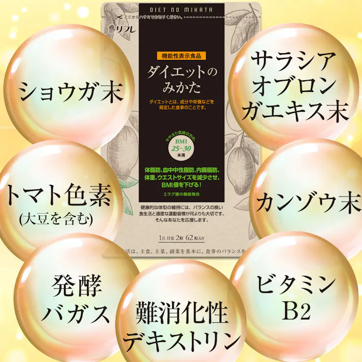 【〈機能性表示食品〉ダイエットのみかた 62粒 お得な3袋セット】 ちあふる ダイエット エラグ酸 体脂肪 血中中性脂肪 内臓脂肪 難消化性デキストリン JAN:4560258561914