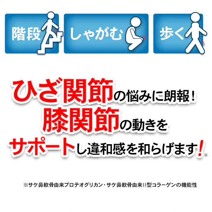 【〈機能性表示食品〉ひざのみかたW 31粒】 ちあふる プロテオグリカン II型コラーゲン ひざ 膝 ヒザ 階段 歩く 歩行 立ち上がる JAN:4560258562188