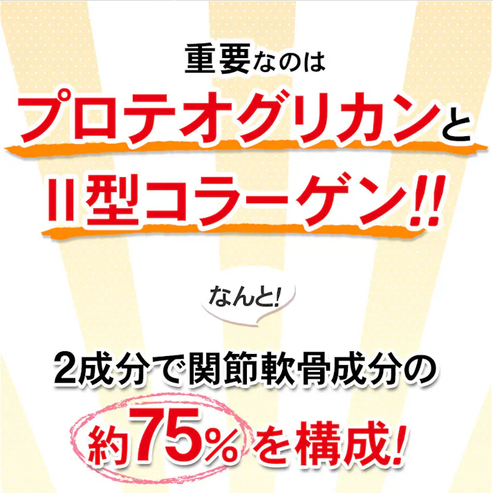 【〈機能性表示食品〉ひざのみかたW 31粒】 ちあふる プロテオグリカン II型コラーゲン ひざ 膝 ヒザ 階段 歩く 歩行 立ち上がる JAN:4560258562188