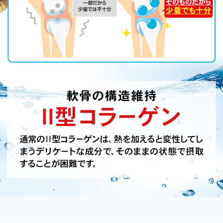 【〈機能性表示食品〉ひざのみかたW 31粒】 ちあふる プロテオグリカン II型コラーゲン ひざ 膝 ヒザ 階段 歩く 歩行 立ち上がる JAN:4560258562188