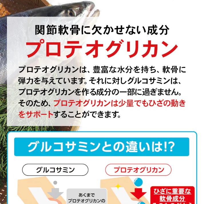 【〈機能性表示食品〉ひざのみかたW 31粒 お得な3袋セット】 ちあふる プロテオグリカン II型コラーゲン ひざ 膝 ヒザ 階段 歩く 歩行 立ち上がる JAN:4560258562188