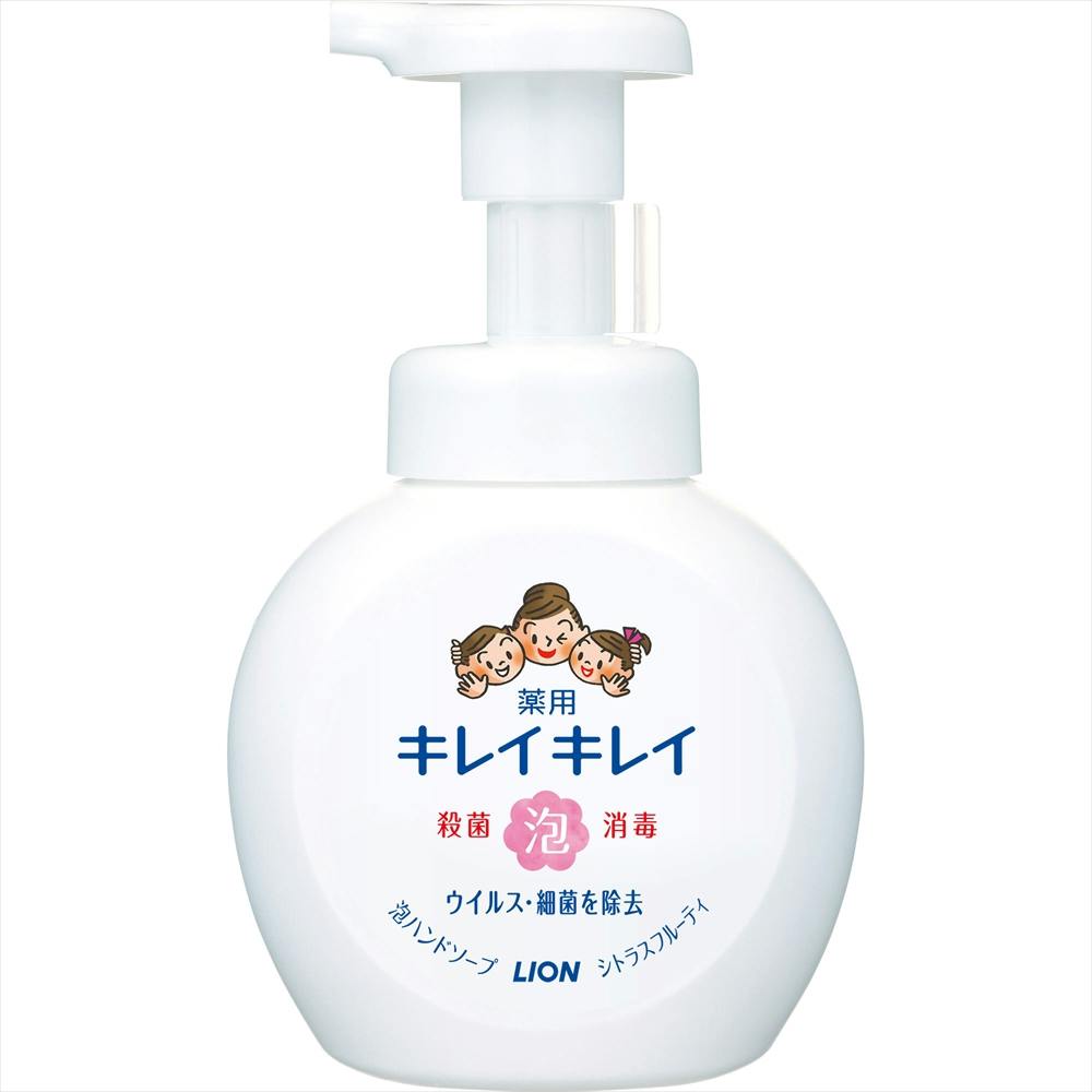 キレイキレイ薬用泡ハンドソープポンプ250ml ×1点 #hrm-4903301176848 洗面用品 キレイキレイ薬用泡ハンドソープポンプ250ml ×1点 #hrm-4903301176848 洗面用品