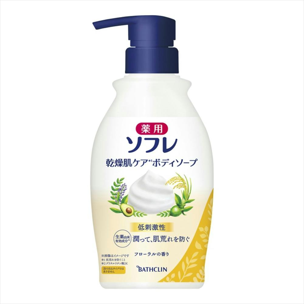 薬用ソフレ 乾燥肌ケアボディソープ 450mL × 12点 hrm#4548514159297 洗面用品 薬用ソフレ 乾燥肌ケアボディソープ 450mL × 12点 hrm#4548514159297 洗面用品