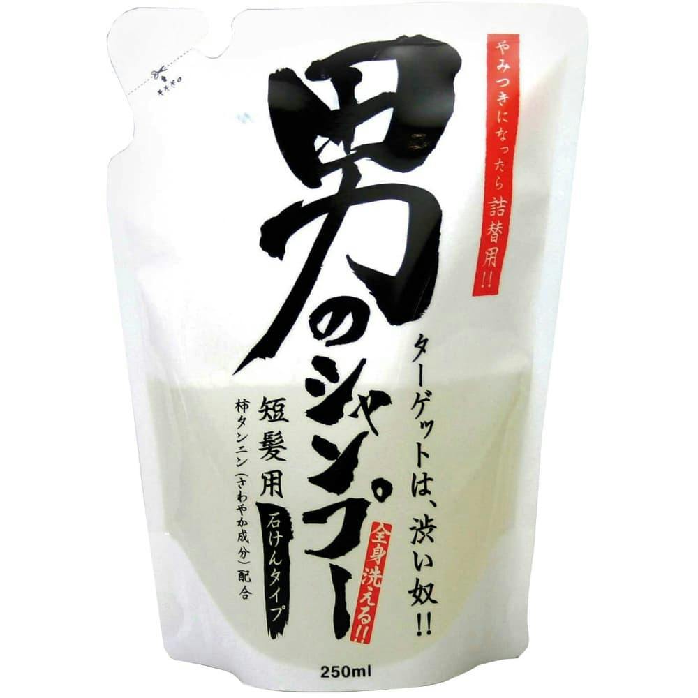 男のシャンプー 詰替用 ２５０ml ×1点【送料込み】 ＃hrm-4982757913429