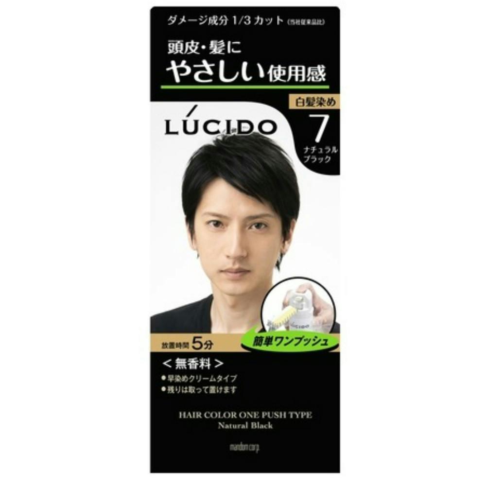ルシードケアカラーナチュラルブラック × 24点 hrm#4902806406641 ヘアケア・スタイリング ルシードケアカラーナチュラルブラック × 24点 hrm#4902806406641 ヘアケア・スタイリング