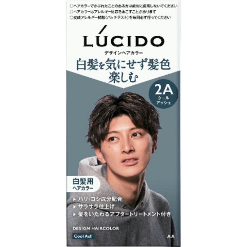 ルシード デザインヘアカラー クールアッシュ （医薬部外品） ×1点