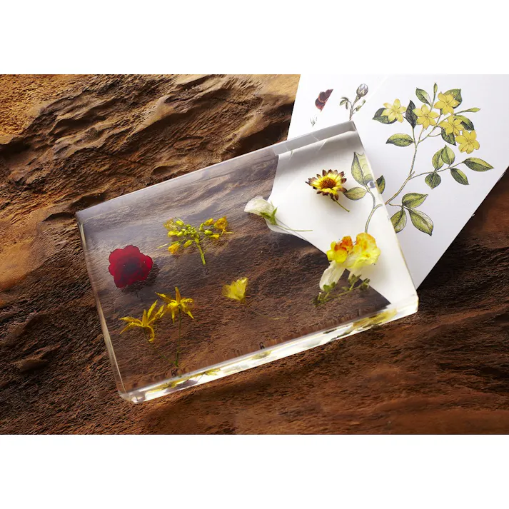 FRP 透明 注型用樹脂 0.5kg 標本 封入 アクセサリー製作 レジン