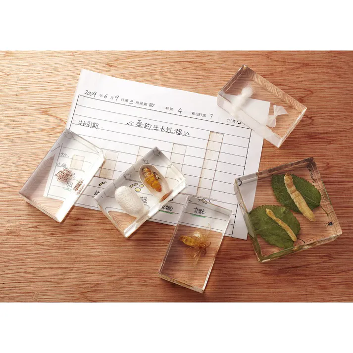 FRP 透明 注型用樹脂1kg 標本 封入 アクセサリー製作 レジン