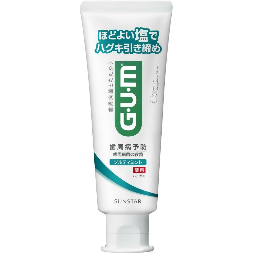【12点まとめ買い】ガム・デンタルペースト ソルティミント スタンディング 150g × 12点【送料込み】 ＃hrm-4901616007734