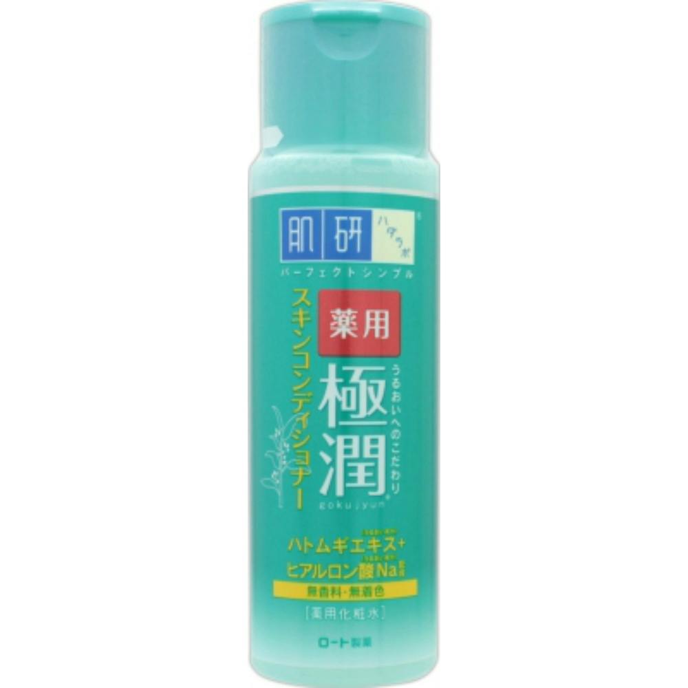 即日発送★新品485ml 薬用スキンコンディショナー 薬用スキンコンディショナー エッセンシャル N〈化粧水（敏感肌