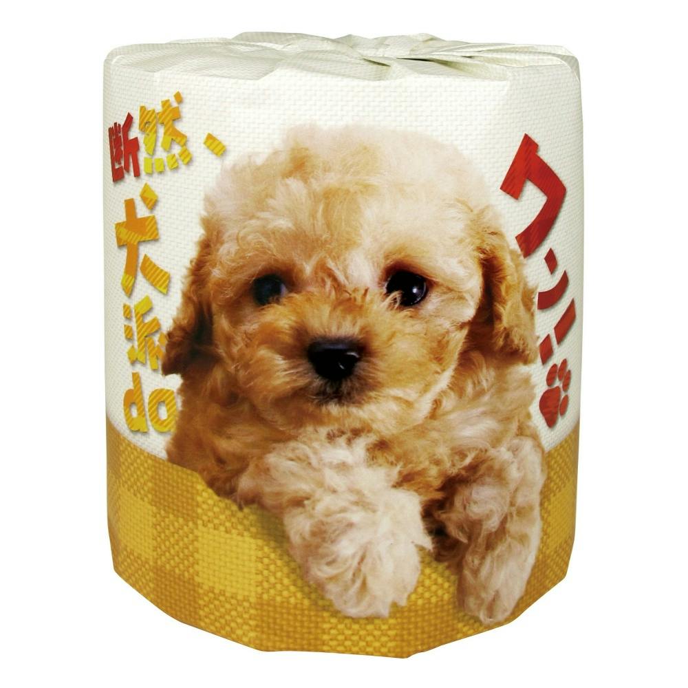 断然、犬派daワン! × 100点 #hrm-4976956116248 紙製品 断然、犬派daワン! × 100点 #hrm-4976956116248 紙製品