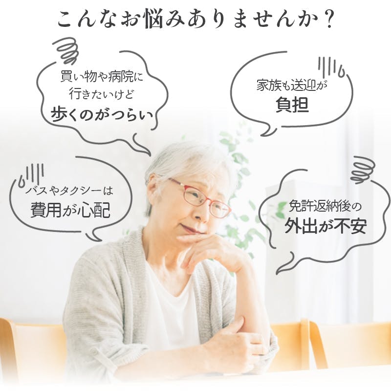 免許不要】 『電動シニアカー ライデンS3』（1年保険付き） 免許