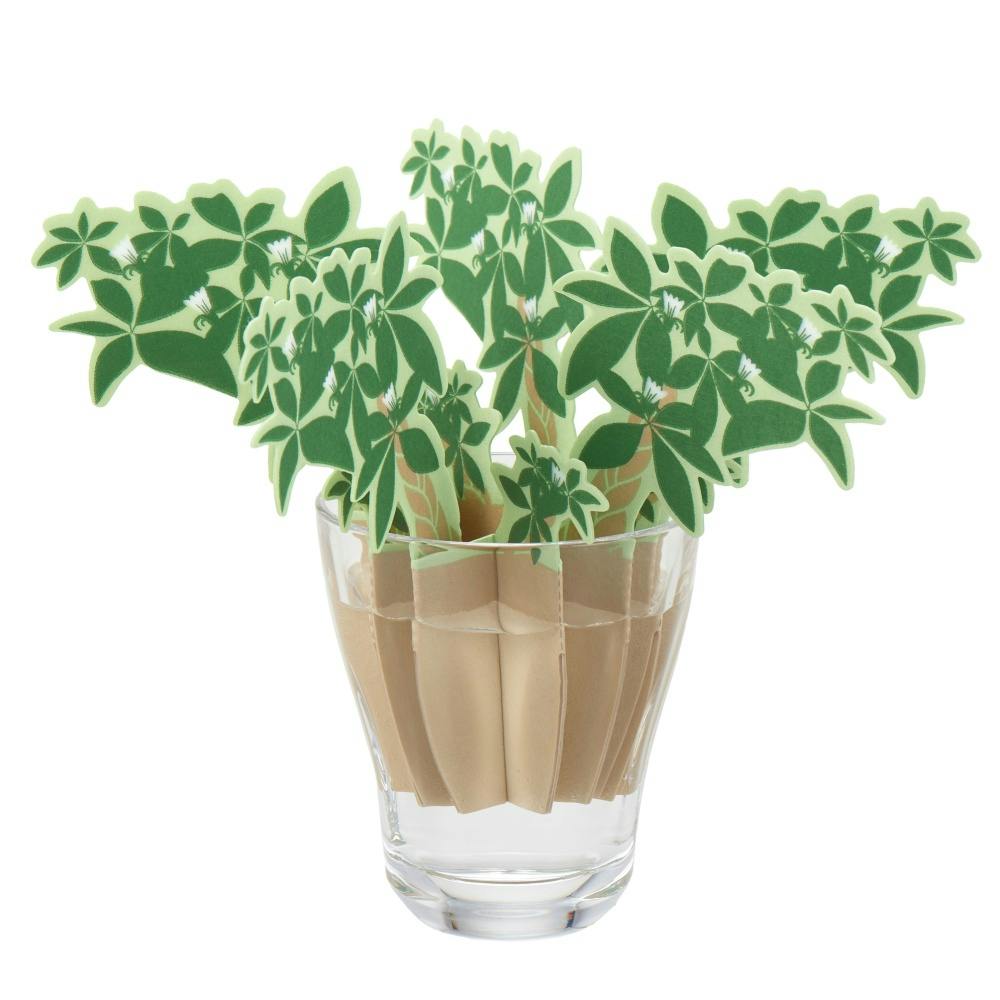 どこでもモイスチャーパキラ ×1点【送料込み】 ＃hrm-4537208350164