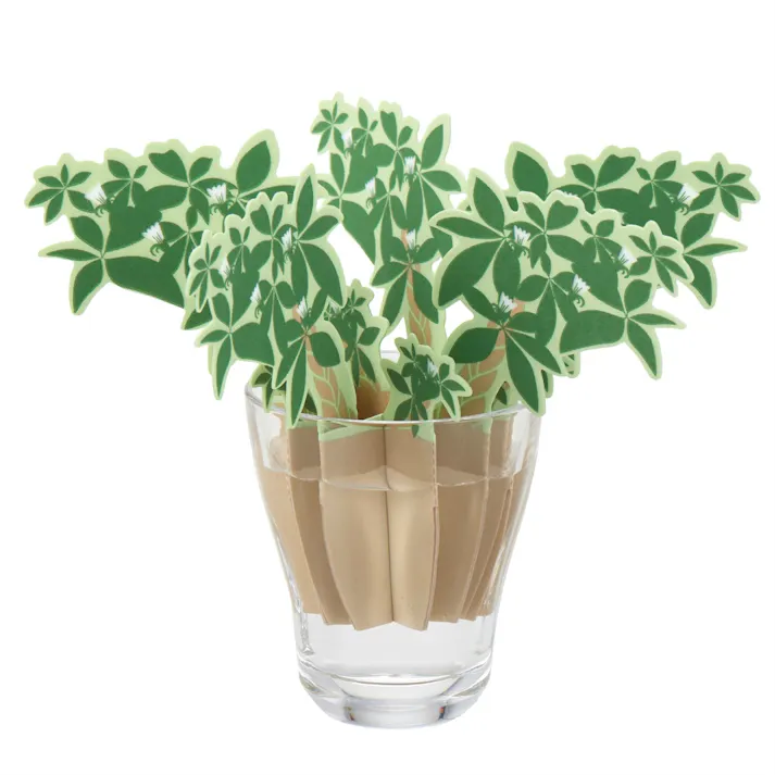 どこでもモイスチャーパキラ ×1点【送料込み】 #hrm-4537208350164