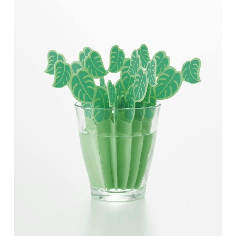 どこでもモイスチャーモンステラ ×1点【送料込み】 ＃hrm-4537208349250