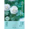 【5点まとめ買い】かたりべ ホワイトローズ 大型バラ詰 × 5点【送料込み】 #hrm-4902125261426
